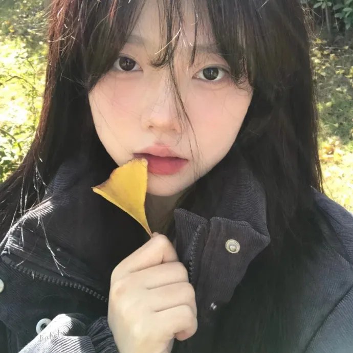 我妻子的一切